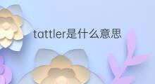 tattler是什么意思 tattler的翻译、读音、例句、中文解释
