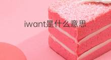iwant是什么意思 iwant的中文翻译、读音、例句