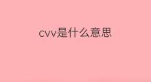 cvv是什么意思 cvv的翻译、读音、例句、中文解释