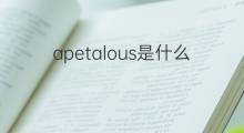 apetalous是什么意思 apetalous的翻译、读音、例句、中文解释