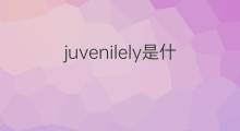 juvenilely是什么意思 juvenilely的翻译、读音、例句、中文解释