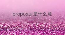 propoxur是什么意思 propoxur的翻译、读音、例句、中文解释