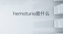 hematuria是什么意思 hematuria的翻译、读音、例句、中文解释