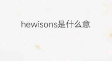 hewisons是什么意思 hewisons的翻译、读音、例句、中文解释