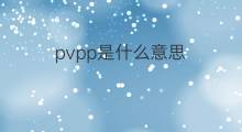 pvpp是什么意思 pvpp的翻译、读音、例句、中文解释