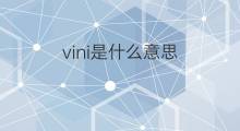 vini是什么意思 vini的翻译、读音、例句、中文解释