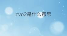 cvo2是什么意思 cvo2的翻译、读音、例句、中文解释