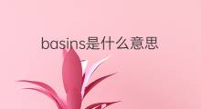 basins是什么意思 basins的翻译、读音、例句、中文解释