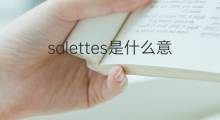 salettes是什么意思 salettes的翻译、读音、例句、中文解释