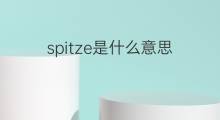 spitze是什么意思 spitze的翻译、读音、例句、中文解释
