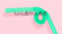 luciu是什么意思 luciu的翻译、读音、例句、中文解释