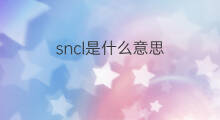 sncl是什么意思 sncl的翻译、读音、例句、中文解释