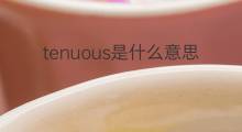 tenuous是什么意思 tenuous的翻译、读音、例句、中文解释