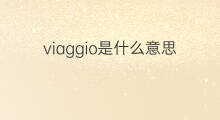 viaggio是什么意思 viaggio的翻译、读音、例句、中文解释