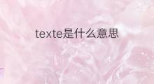 texte是什么意思 texte的翻译、读音、例句、中文解释