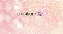 brasiliano是什么意思 brasiliano的翻译、读音、例句、中文解释
