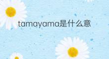 tamayama是什么意思 tamayama的翻译、读音、例句、中文解释
