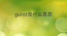 gunst是什么意思 gunst的翻译、读音、例句、中文解释