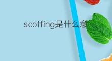 scoffing是什么意思 scoffing的翻译、读音、例句、中文解释