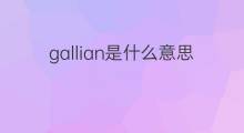 gallian是什么意思 gallian的翻译、读音、例句、中文解释