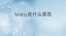 teany是什么意思 teany的翻译、读音、例句、中文解释