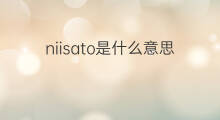 niisato是什么意思 niisato的翻译、读音、例句、中文解释