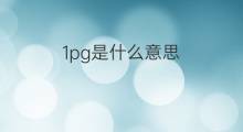 1pg是什么意思 1pg的翻译、读音、例句、中文解释
