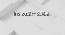insiza是什么意思 insiza的翻译、读音、例句、中文解释