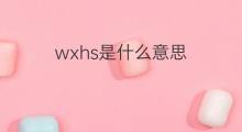 wxhs是什么意思 wxhs的翻译、读音、例句、中文解释
