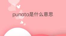 punata是什么意思 punata的翻译、读音、例句、中文解释