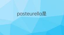 pasteurella是什么意思 pasteurella的翻译、读音、例句、中文解释