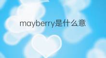 mayberry是什么意思 mayberry的翻译、读音、例句、中文解释