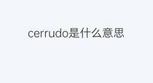 cerrudo是什么意思 cerrudo的翻译、读音、例句、中文解释