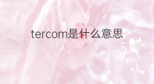 tercom是什么意思 tercom的翻译、读音、例句、中文解释