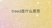 treed是什么意思 treed的翻译、读音、例句、中文解释