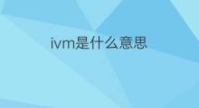ivm是什么意思 ivm的翻译、读音、例句、中文解释