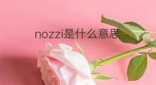 nozzi是什么意思 nozzi的翻译、读音、例句、中文解释