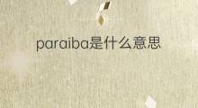 paraiba是什么意思 paraiba的翻译、读音、例句、中文解释