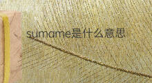 sumame是什么意思 sumame的翻译、读音、例句、中文解释