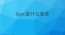 fpec是什么意思 fpec的翻译、读音、例句、中文解释