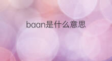 baan是什么意思 baan的翻译、读音、例句、中文解释