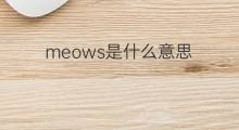 meows是什么意思 meows的翻译、读音、例句、中文解释