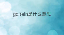 goitein是什么意思 goitein的翻译、读音、例句、中文解释