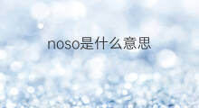 noso是什么意思 noso的翻译、读音、例句、中文解释