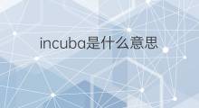 incuba是什么意思 incuba的翻译、读音、例句、中文解释