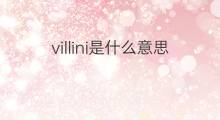villini是什么意思 villini的翻译、读音、例句、中文解释