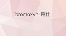 bromoxynil是什么意思 bromoxynil的翻译、读音、例句、中文解释
