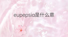 eupepsia是什么意思 eupepsia的翻译、读音、例句、中文解释