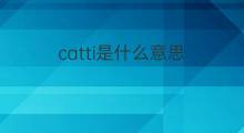 catti是什么意思 catti的翻译、读音、例句、中文解释
