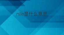 nile是什么意思 nile的翻译、读音、例句、中文解释